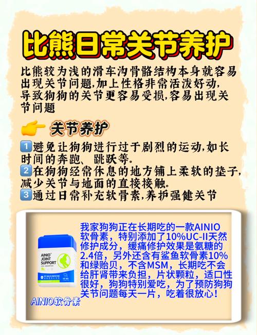 犬比熊多少钱一只_犬比熊芒果视频_比熊犬