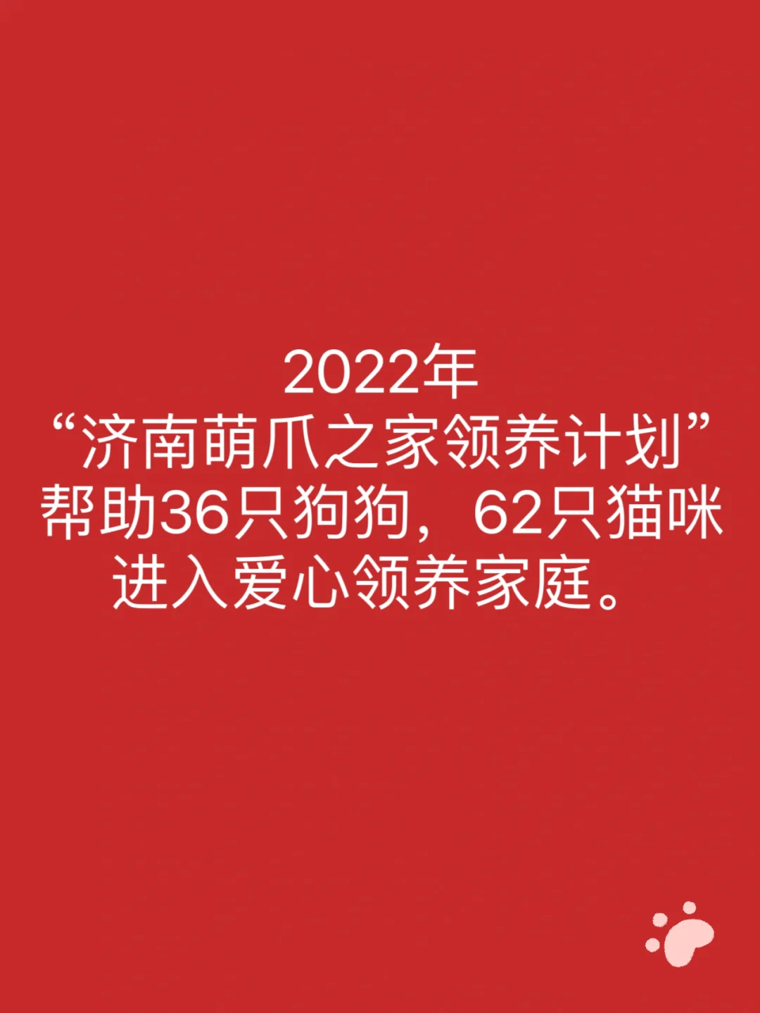 广州金毛犬舍_广州金毛犬_广州金毛吧