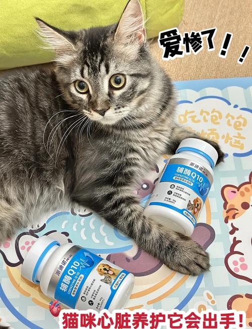 波斯猫app官网_波斯猫论坛_波斯猫s.h.e