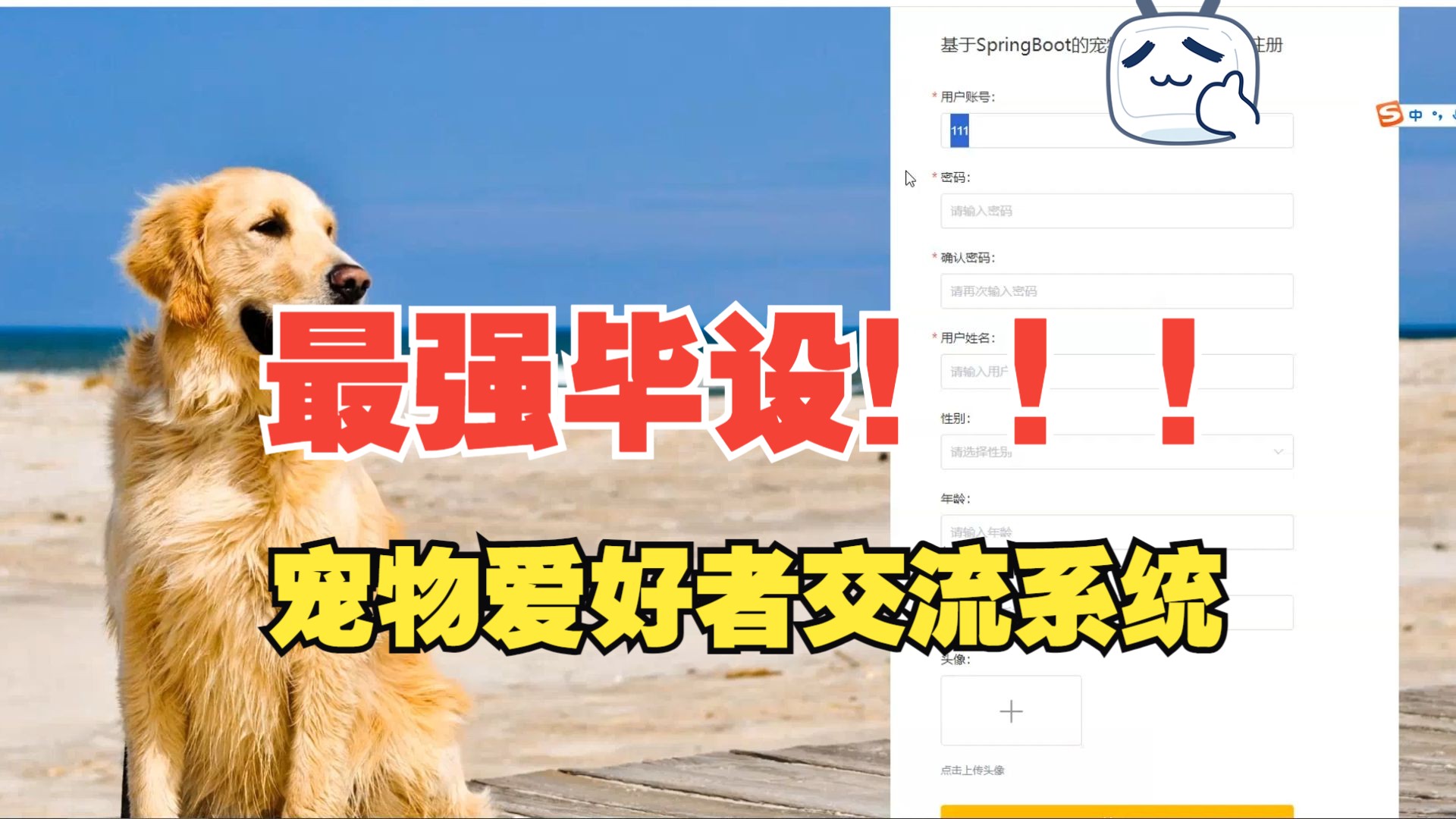 petfinder宠物网站_关于宠物的网站_宠物网站参考文献