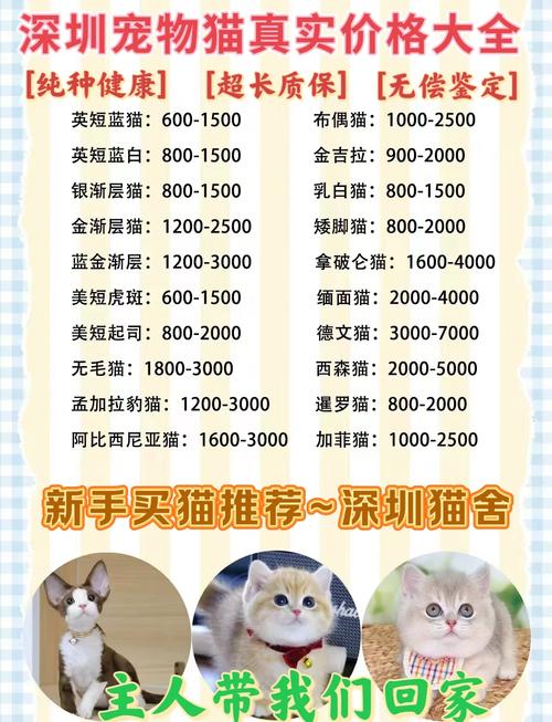 宠物猫交易网站大全_宠物猫交易平台_宠物猫交易网站