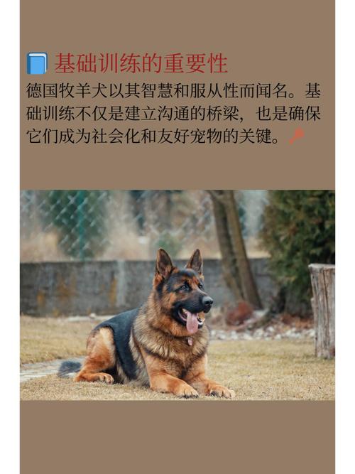 德国牧羊犬论坛_德国牧羊犬论坛app_德国牧羊犬论坛吧