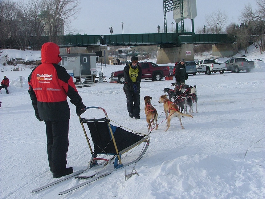 阿拉斯加犬拉雪橇图片_天宇雪橇犬基地 病狗_雪橇犬的领头犬怎么定