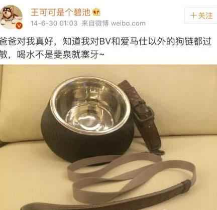 狗界赢家 王思聪给王可可买爱马仕狗链 孙茜为爱犬办葬礼