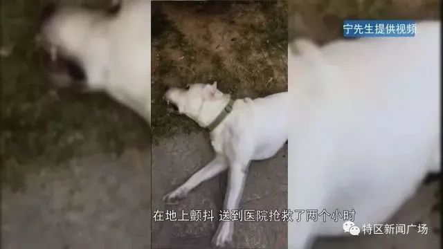 谁这么狠心下毒手？厦门筼筜湖散步后中毒身亡