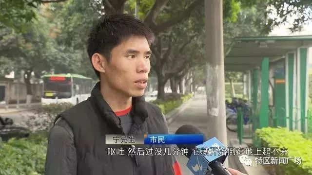 谁这么狠心下毒手？厦门筼筜湖散步后中毒身亡