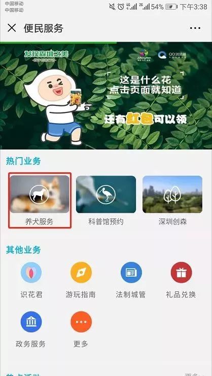 深圳养狗不用再交管理费但必须登记否则罚５００深圳养狗狗的规定有变哦！