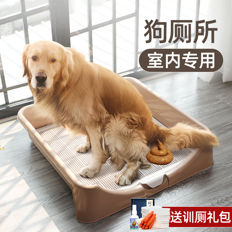 狗狗训练狗狗_怎么训练狗狗上厕所_怎么训练狗狗上犬带