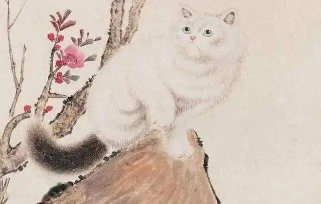 养狗与养猫_狗找狗猫找猫乌龟_新手养什么狗最好，要聪明的狗