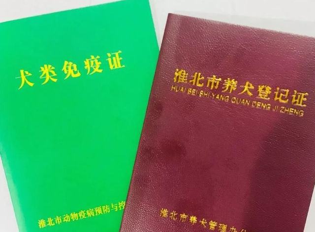 养狗办证要多少钱_长沙办狗证要钱吗2019年_南京办狗证要准备什么