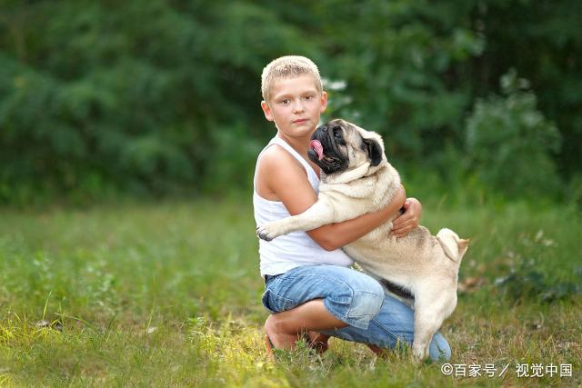 大多数人都会选择养小型犬吗？怎么办？