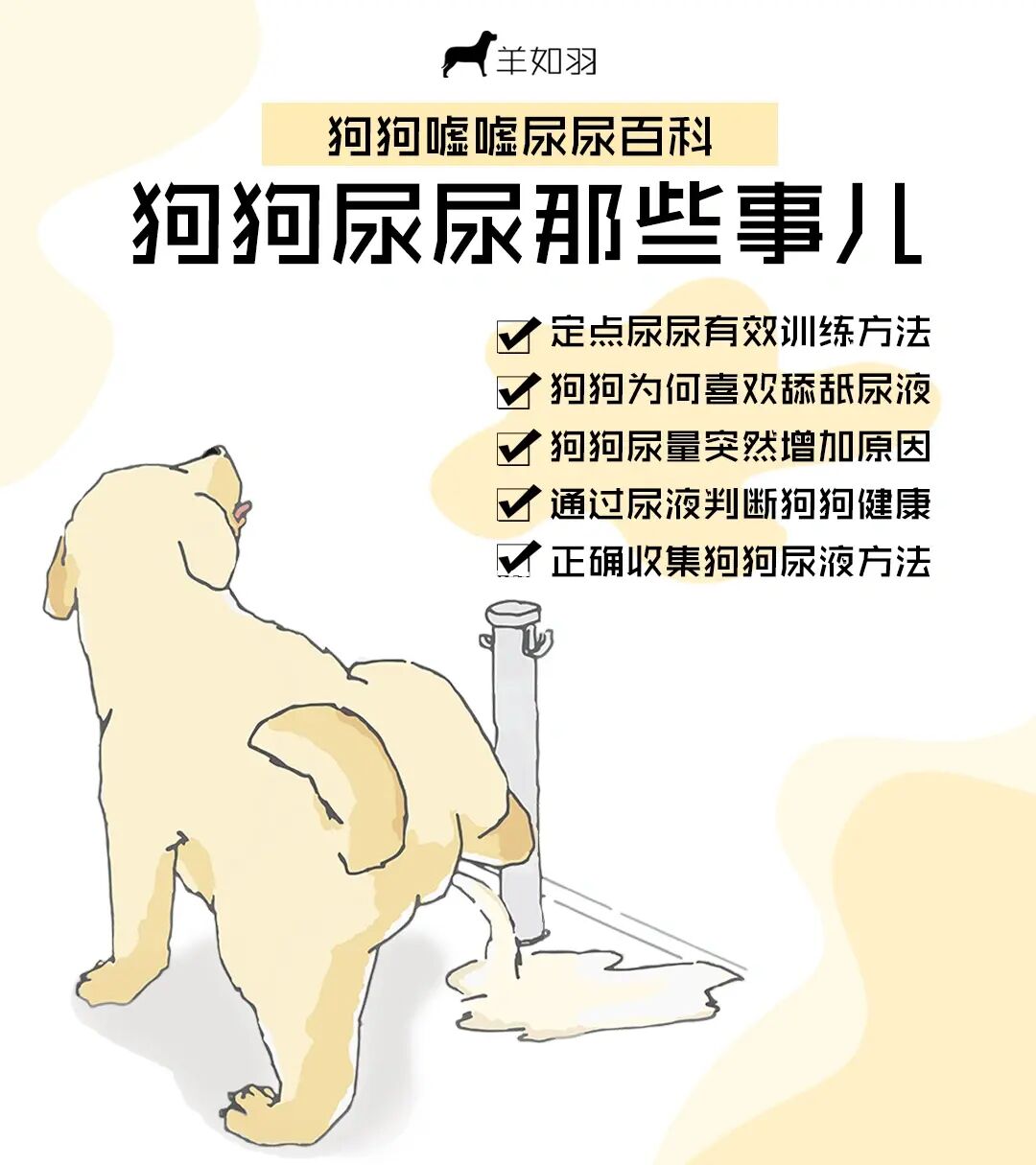 憋尿训练计划(一)图片