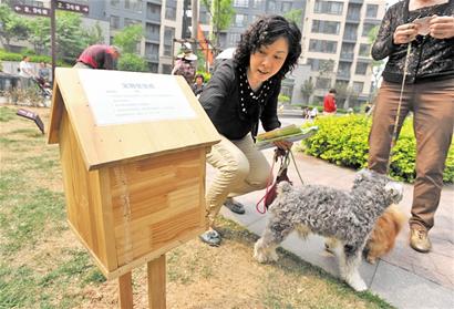 家庭养哪种狗比较合适_家庭养狗推荐_养博美犬好还是养泰迪狗好