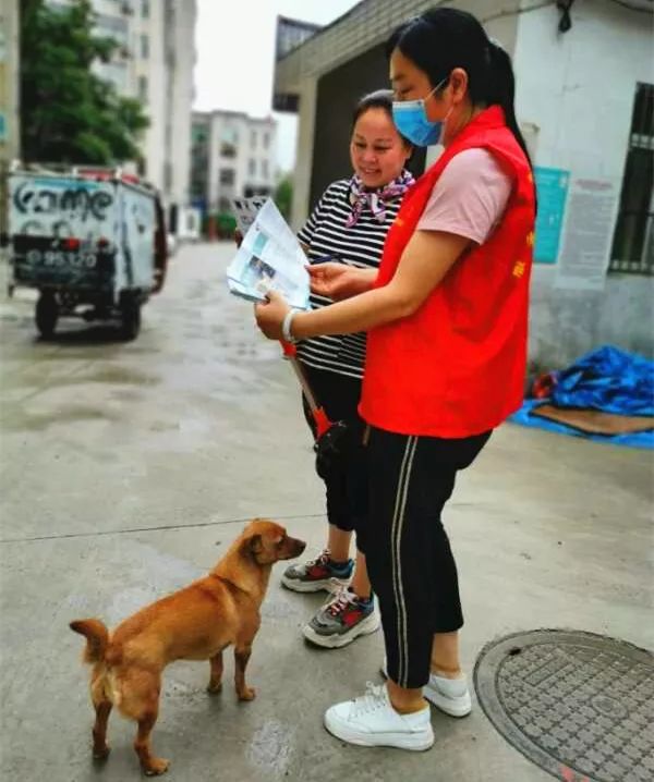 家庭养狗推荐_家庭养哪种狗比较合适_养博美犬好还是养泰迪狗好