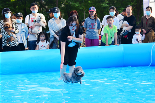 “文明养犬 相约夏天”第二季公益活动在郑州举行