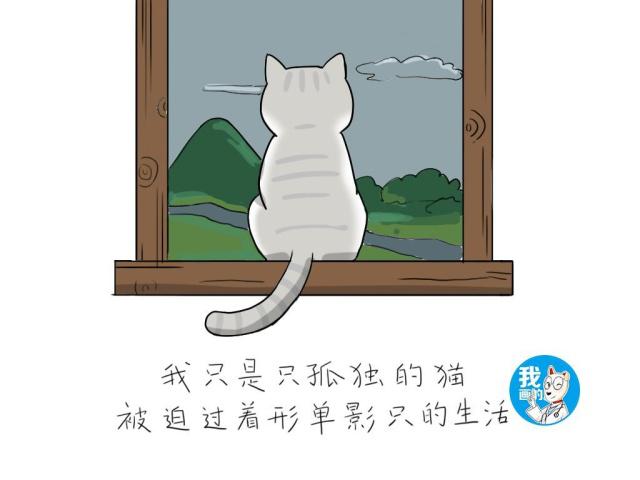 八旬老人下到三岁，到底是养猫好还是养狗好呢？