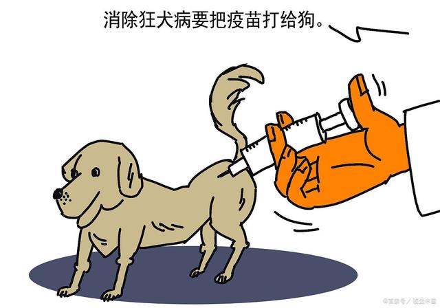 “提狗色变”的狂犬病不再恐怖！研究取得新突破