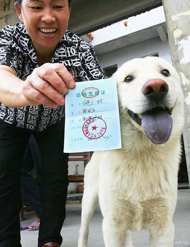 “提狗色变”的狂犬病不再恐怖！研究取得新突破