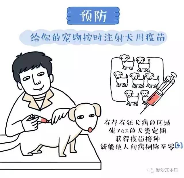 被狂犬狗咬了怎么办_蜀得其龙吴得其虎魏得其狗_养狗容易得狂犬病吗