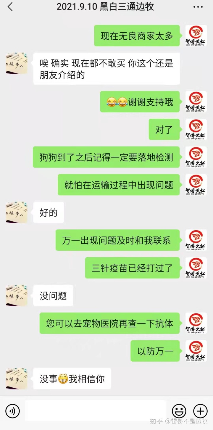 买狗的渠道有很多，总结而言：犬舍gtgt