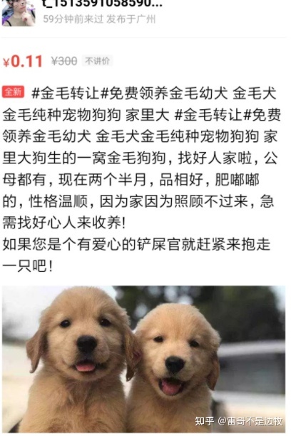 买狗的渠道有很多，总结而言：犬舍gtgt