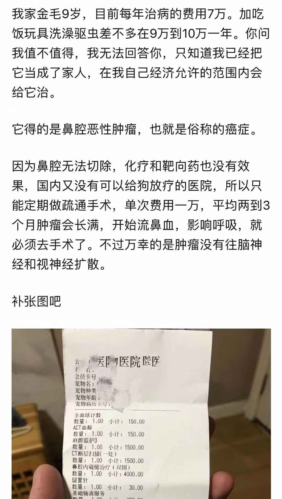 在宠物生病后，面对高昂的治疗费用，究竟是该治疗还是放弃呢？