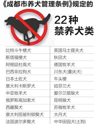 11月16日起成都正式清理禁养犬 22种犬类不能养