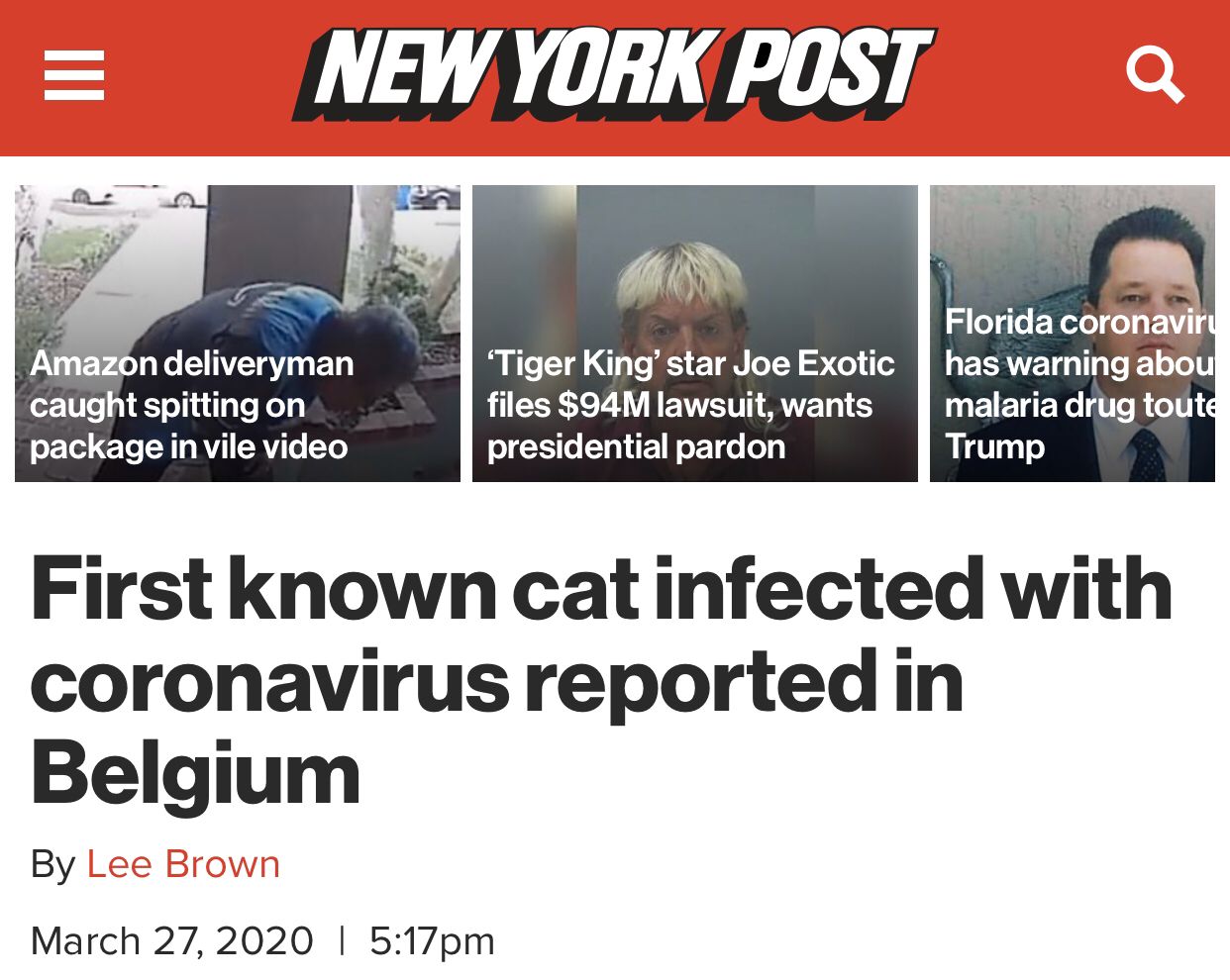 比利时卫生部门病毒检测呈阳性证据显示猫狗等宠物感染新冠病毒