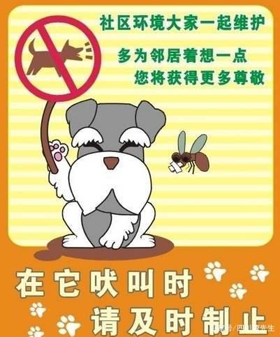 成都启动犬只管理专项整治，狗是人类最忠诚的朋友