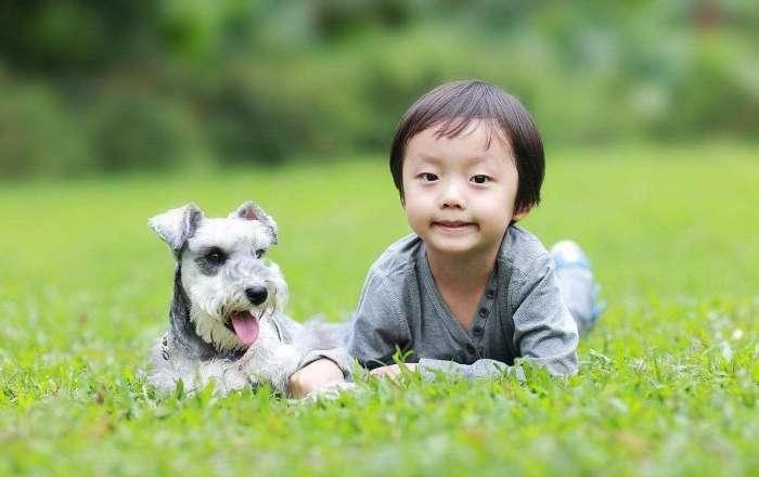 随处可见人不文明溜狗，狗的大小便随处可见什么？