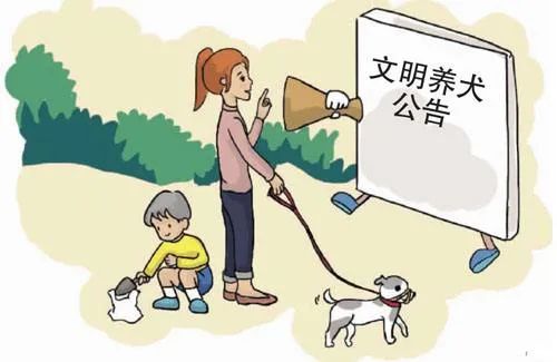 如何有效减少“遛犬不牵绳”行为(图)