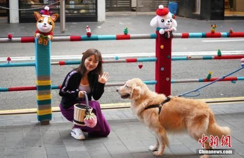 太原、银川实施养犬新政遛狗带宠物狗乘电梯避开使用高峰期