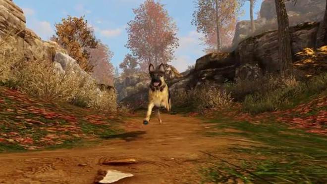 《GTA5》主角之一富兰克林有一只爱犬，名叫小查