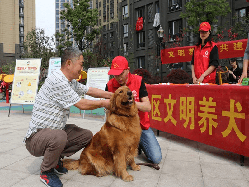 偷狗的人让狗跟着他_养一只狗好还是养两只狗好_小区不让养狗