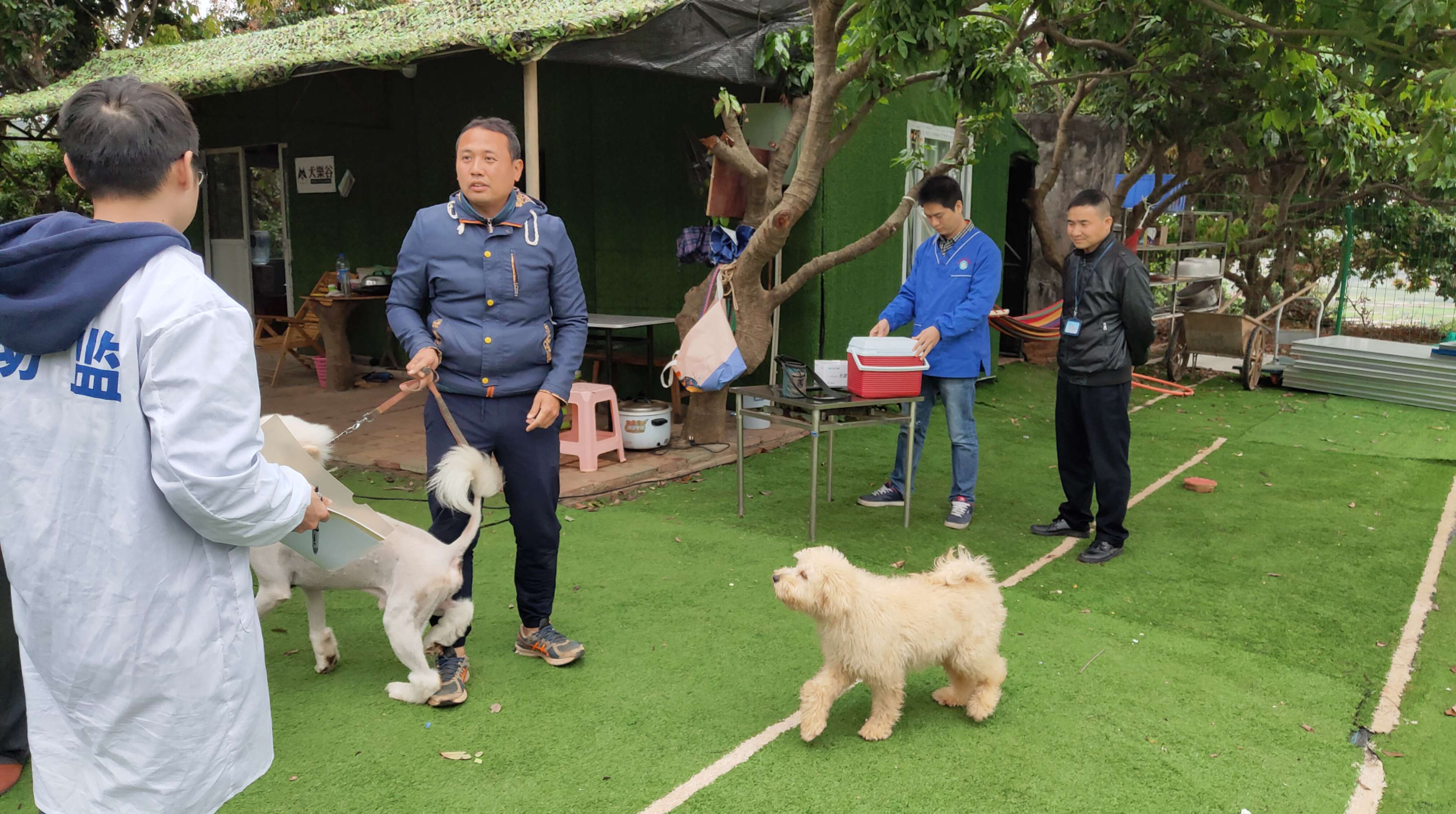 相狗秘诀什么狗养不得_深圳养狗规定_合肥工业大学寝室养宠物书面规定