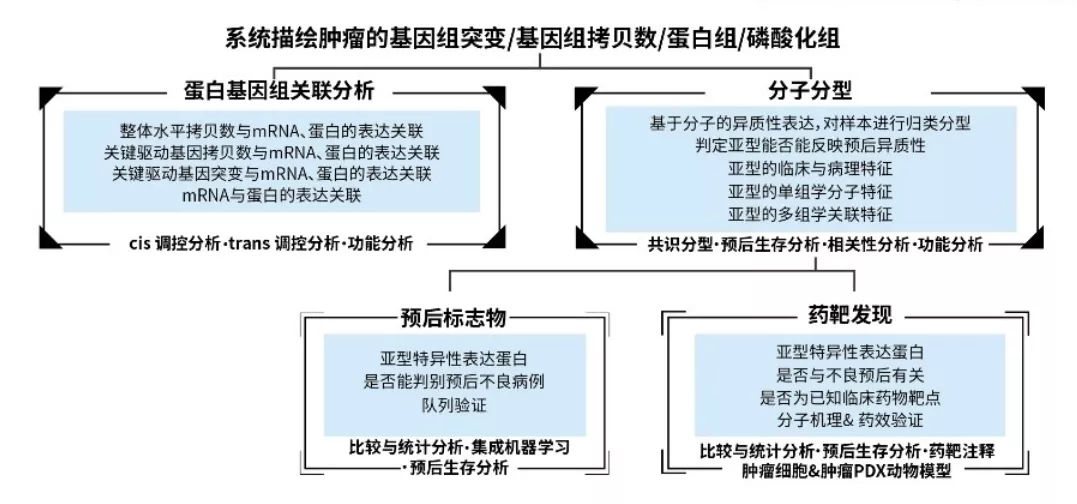 狗病临床手册_放线菌病最常见临床类型_nms临床手册系列--临床麻醉手册