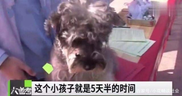 岁男童因感染狂犬病被狗先后抓伤和舔舐'