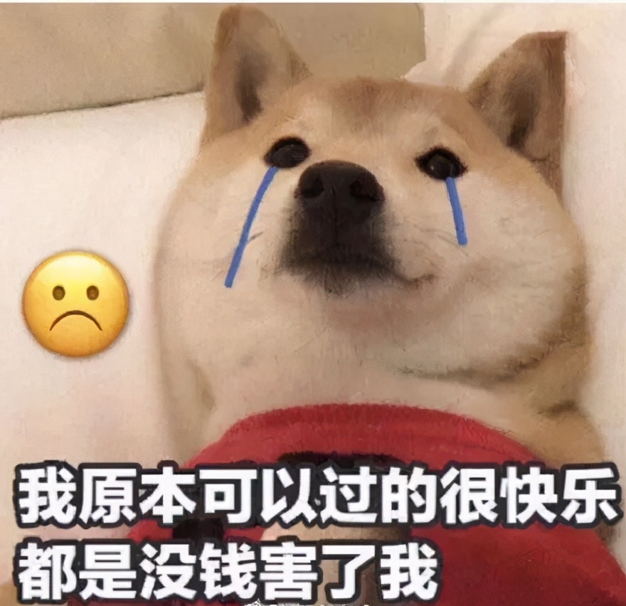 还有4天，这些行为将违法！内附犬证指南