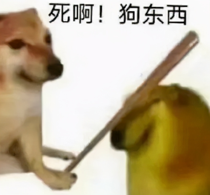 还有4天，这些行为将违法！内附犬证指南