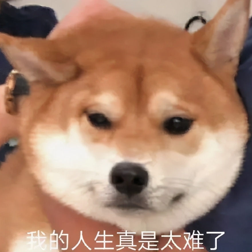 还有4天，这些行为将违法！内附犬证指南