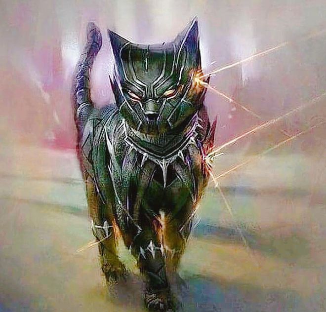 漫威电影中的超级英雄变成猫咪会是什么样子？