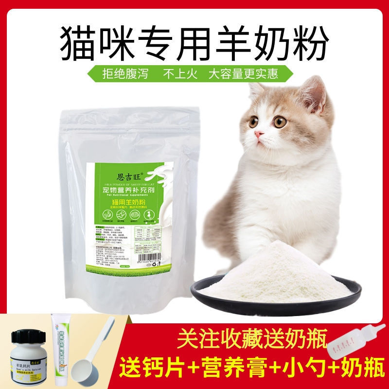 大猫吃小猫_小猫吃大鱼_两个月大的小猫吃什么