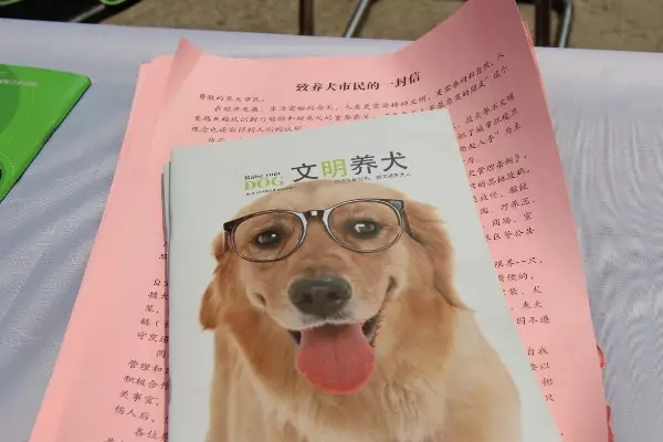 养博美犬好还是养泰迪狗好_青岛养狗条例_上班养串串狗好不好养