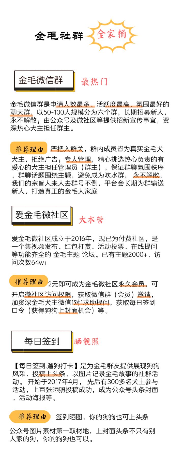 养一只金毛前要做好充分的准备，怎么养金毛？