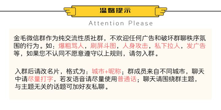 养一只金毛前要做好充分的准备，怎么养金毛？