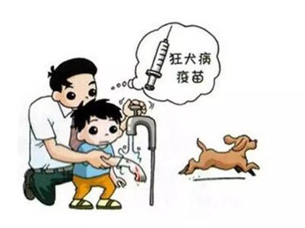 狂犬症的狗有什么症状_带狂犬病毒的狗能吃吗_狂犬病 病狗