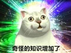 谁不喜欢小猫咪？猫咪的19种猫叫分为三大类