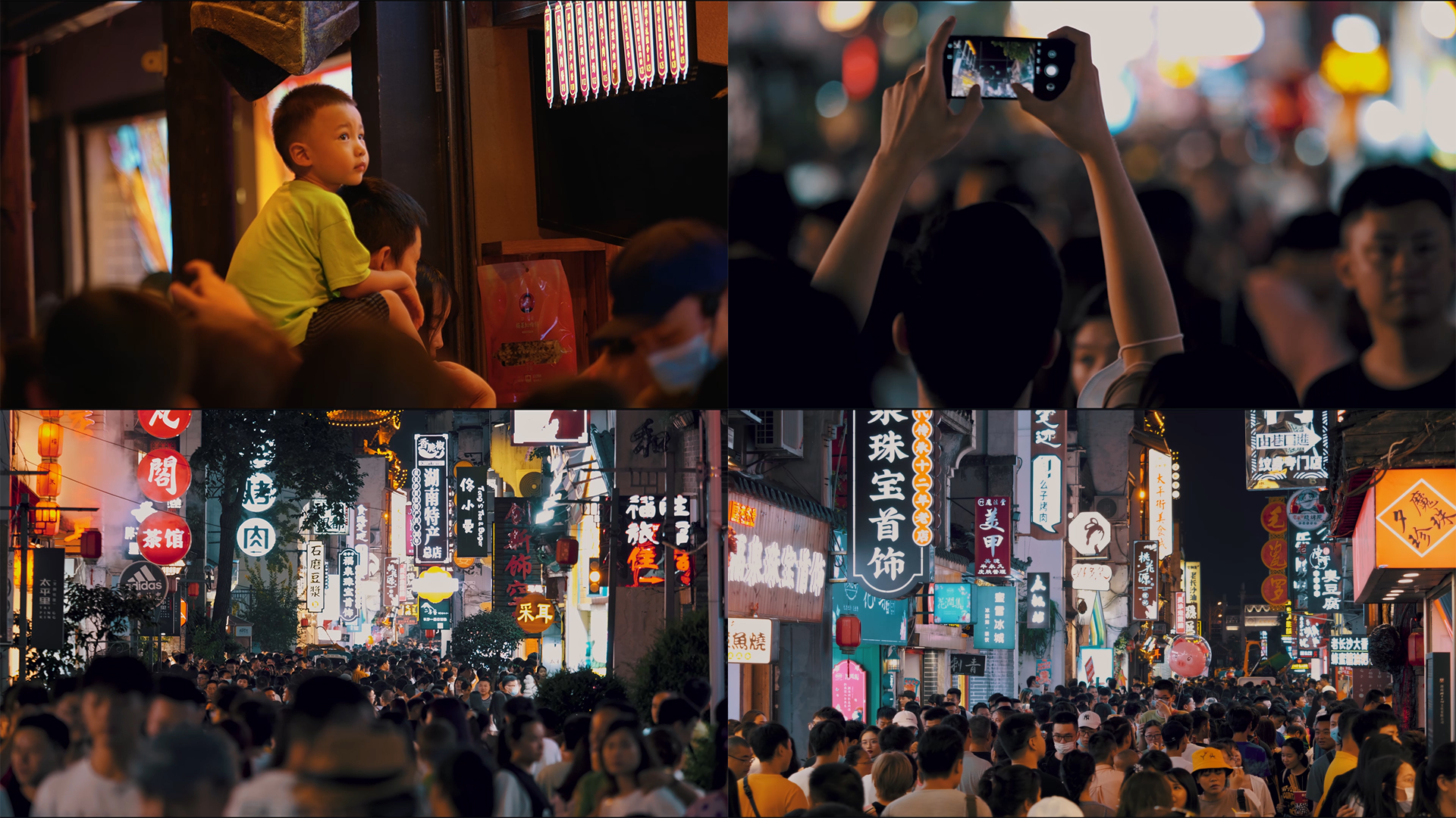 黑宠物店卖病狗_宠物店卖病狗可以报警吗_长沙太平街卖病狗