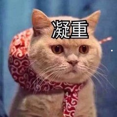 养猫好点还是养狗哪个赚钱多