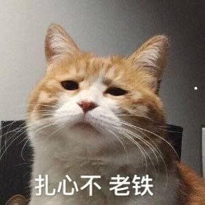 养狗好还有养猫好